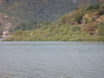 海邊好多白鷺在晒日光浴
DSCN0599