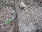 DSCN0758