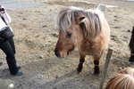 DSC00078