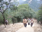 P1029710