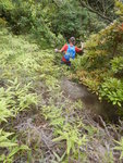 鹿巢山頂前轉左山路穿林落山
DSCN0814
