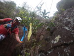 DSCN0950