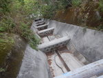 DSCN0959