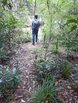DSCN1436