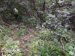 DSCN1838