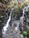 DSCN1991