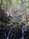 DSCN1992