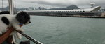 20190901-055