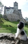 (吸血殭屍古堡)布朗堡 Bran Castle
201909_0453