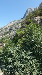 IMG-20190925-WA1609