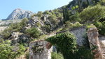 IMG-20190925-WA1617
