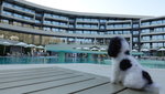 IMG-20190925-WA1738
