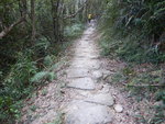 古道左走
DSCN2210