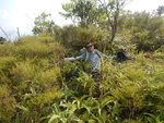 DSCN2229