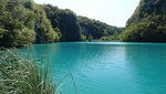 IMG-20190925-WA2953