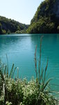 IMG-20190925-WA2954
