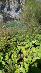 IMG-20190925-WA2959