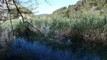 IMG-20190925-WA2961