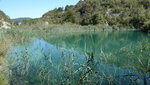 IMG-20190925-WA2963