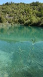 IMG-20190925-WA2965