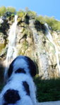 IMG-20190925-WA2987