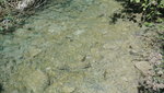 IMG-20190925-WA3062