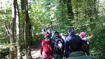 IMG-20190925-WA3100