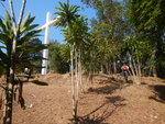見十字架, 即是己到道風山的基督教香港信義會道風山堂內 DSCN2415