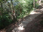 DSCN2559