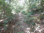 DSCN2560