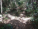 DSCN2561