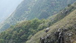 DSC00136
