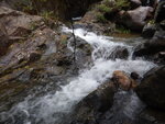DSCN3954