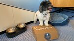 Dogcation package 包一份給狗狗的禮物
20201029-007