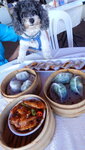 在西貢市歎個茶先, 妹釘見食物即刻精神哂DSC01709