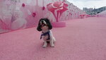 DSC02674