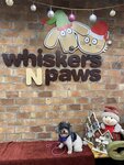 鴨脷洲工業區內的大型寵物店, Whiskers & Paws 
20211119-005