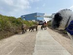 妹釘和野豬
20211225-048