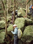 P3133323