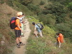 離澗接回鳳凰徑, 可以收工下山
P3133383