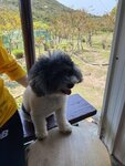 分流村陳記士多內
20220310-087