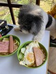 食個晏補充體力
20220310-089