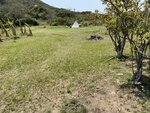 陳記士多營地
20220310-093
