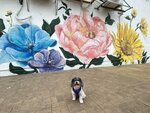 西貢市中心壁畫
20220413-009