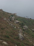 上坡途中望到山上有一堆石好似snoopy頭
P3163437