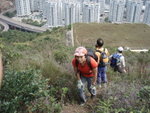 P3203797