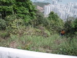 跨過鐵欄望番上山路
P3203799
