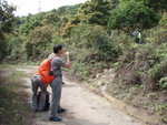 向上行行&#21523;又轉右入山路
P3203801
