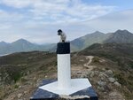 到大浪頭98米, 背後見大蚊山, 蚺蛇尖和東灣山 (左至右)
20230114-059
