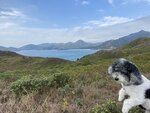 大灣四灘見3灘, 大浪西(左), 大灣沙灘(最大個灘), 咸田(大浪西和大灣之間, 在大灣前少少隱約見到個灘)
20230114-065